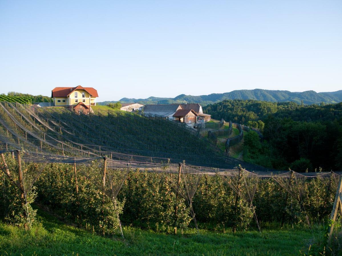 Holiday Home Winzerhaus Eva Spicnik Exterior foto