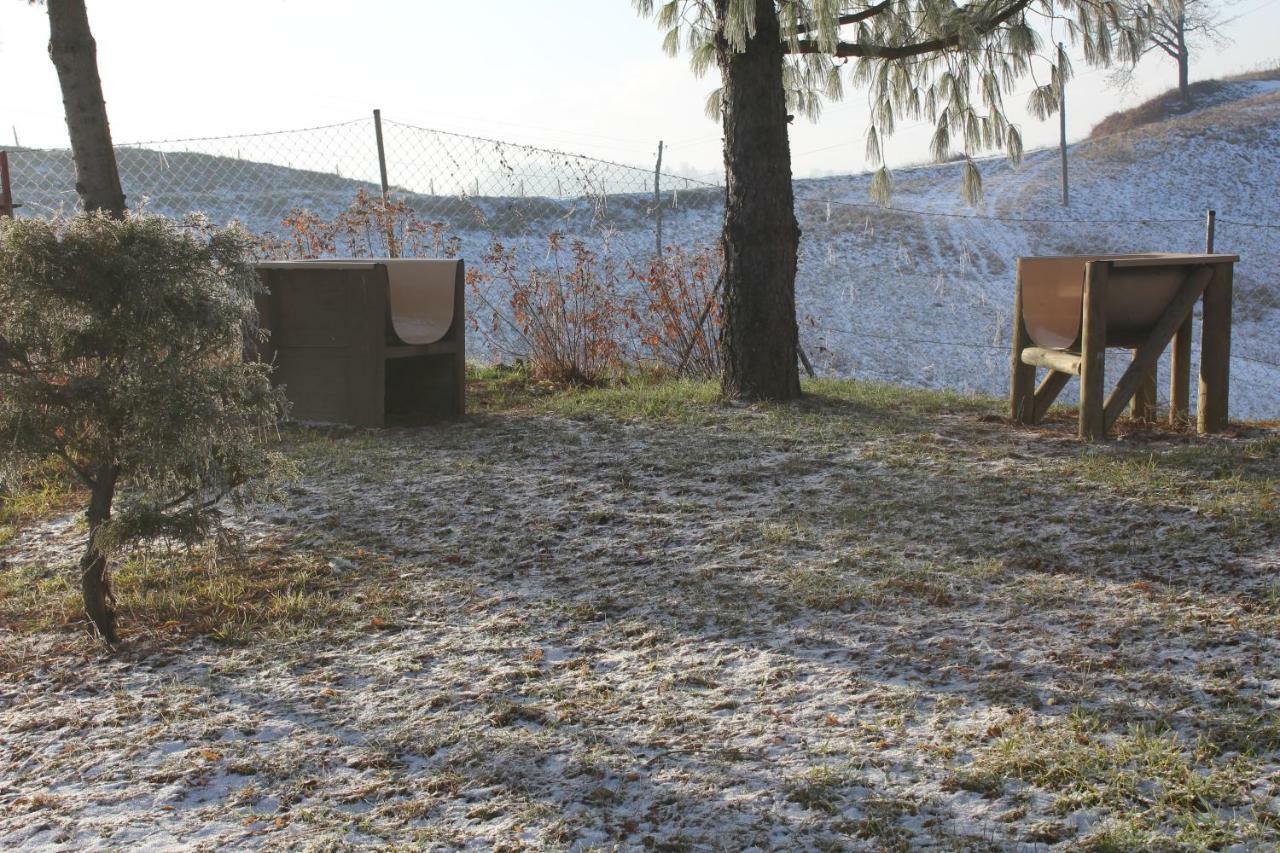 Holiday Home Winzerhaus Eva Spicnik Exterior foto